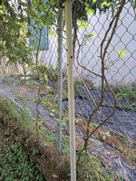 lai xá 69m2 10,5 tỷ, phân lô, ô tô tránh, lideco