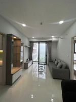 bán chung cư d-homme quận 6, căn góc 110m2 view đẹp mới bàn giao