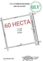 BÁN ĐẤT KCN BÀU BÀNG MỞ RỘNG, BD (BĐ135) – 60,9 HA