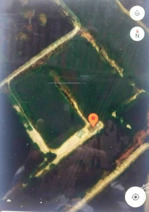 bán đất lúa, xã hiệp phước, tphcm, mặt tiền đường lê văn lương 2