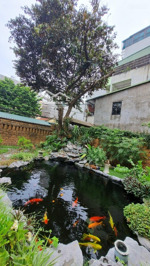 nhà 3 tầng 375m2 giá 70 tỷ, ô tô tránh tại phường phú thượng