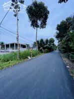 Đất mặt tiền Trần Thị Thơm, Tân Mỹ Chánh, Tp Mỹ Tho, Tiền Giang