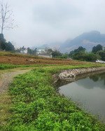 cần chuyển nhượng 4631m2 đất thổ cư tại lương sơn hòa binh