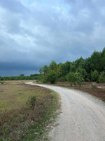 bán đất tại xã vĩnh thanh, nhơn trạch, đồng nai giá tốt chỉ với 5 triệu/m2, 1000m2