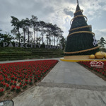 gấp bán lk lê trọng tấn : 50m - 7t - thang máy - vỉa hè 5m- oto - kinh doanh - chỉ 17.5 tỷ