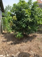 đất 2 mặt tiền quốc lộ 1a đối đối diện kcn tân hương