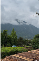 đất đẹp mường hoa có nhà sàn sẵn 1.000m (trong đó 200m thổ cư) có sẵn nhà sàn gỗ