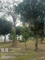 bán lô đất đẹp kđt năm sao eco city