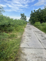 bán đất nuôi trồng thủy sản phường hòa thắng, thôn lệ cam, ninh phú, ninh hòa