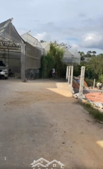 kẹt bank ra gấp lô đất nn 500m2 gần trung tâm đà lạt (6km)