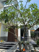 duy nhất 1 căn: biệt thự lucasta khang điền 203m² giá 24tr (bao phí ql) - rẻ hơn chung cư!