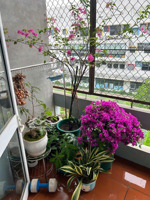 bán nhà riêng tại phố vũ hữu, 9 tỷ, 31m2, chính chủ, giá tốt, otto