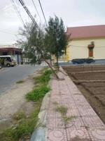 Chính chủ BÁN GẤP lô đất 64m2 CHỈ 1.3 tỷ __KDL BIỂN QUẤT LÂM- Nam Định_