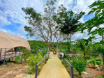 bán farmstay cách nha trang 15ph - 2593m2 - full nội thất, dịch vụ lưu trú tại diên khánh