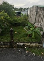 đất hxh hồ văn tắng củ chi 250m cách mt 100m giá 10tr/m2