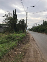 bán đất đầu tư siêu hiếm long phước, long thành