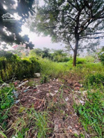 102/m2 đất thổ cư - hẻm xe tải-cách lê văn lương 50m nhỉnh 3tỷ