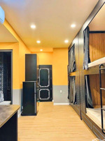 tòa nhà dịch vụ - 7 tầng 109m2 - lý thường kiệt, phường 8, gần quận 10, dòng tiền tốt