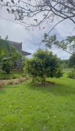 bán nhà vườn 4307m2 thổ cư 80m2 có sẵn nhà đẹp xã hồ tràm thành phố hồ chí minh