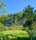 bán gấp sổ đất 2 mặt tiền rộng 150m2 full thổ cư giá 850tr