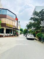 Bán đất TĐC Vinhomes Hải Phòng 50m², mặt tiền 5m, đường 11m, giá 3,9 tỷ