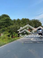 đất thanh niên khu dân cư ổn định, tiềm năng tăng giá