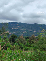 #đất view núi xuân thọ, 600 triệu, 150m2, mặt tiền 5m, đường vào 5m, đồng nai