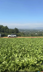 đất sẵn thổ cư view đẹp tại trung tâm tân hà