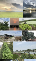 chính chủ bán đất trang trại, farmstay gần whyndham