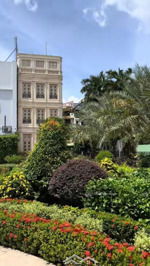 đất biệt thự trực diện công viên - 173m2 - 