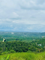 bán thổ cư view đồi - sổ hồng riêng, chỉ 3 tr/m2.