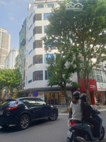 bán nhà trần thái tông, cầu giấy 46 m2, hơn 9 tỷ, 8 phòng, đẹp long lanh, vẫn thơm mùi gỗ hương