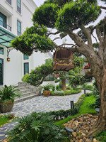 bán nhà trung tâm quận ba đình . 132 m2, 4 tầng , mt 13 m , lô góc , ô tô tránh nhau ,( giá 82 tỷ )