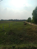 tôi chính chủ cần bán lô đất đức huệ long an