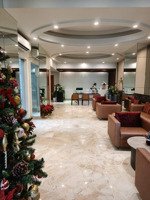 chi office văn phòng cho thuê đường cống quỳnh quận 1 - 100m2 chỉ 45 triệu bao gồm vat