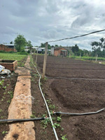 cực hiếm! nhà đất 2 mặt tiền khánh xuân, buôn ma thuột. diện tích 2.090m2. giá 2,95 tỷ - sổ riêng