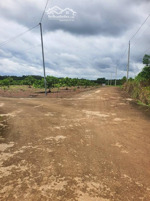 1000m2 phường đồng xoài tỉnh đồng nai 285 triệu bao sang tên gần chợ, dich vụ công đồng xoài