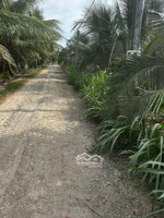 đất vườn giá rẻ phan văn 12, trung hoà, tiền giang. lh 