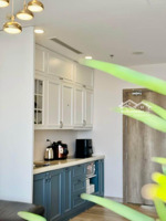 bán căn mezza sol forest view vịnh đảo - hồ thiên nga