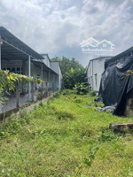 đất thổ cư 185m2 mặt tiền đường nhựa gần chợ suối sâu , trảng bàng . giá 550tr, sổ hồng riêng