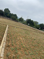 hàng hiếm tại xã phú cát, hoà lạc, quốc oai, hà nội, 2,25 tỷ, 100m2