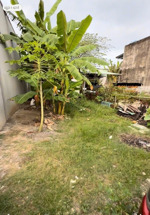 chủ cần bán gấp 115m2 đất ở hẻm ô tô đường đoàn nguyễn tuấn xã quy đức, bình chanh, giá 2,2 tỷ.