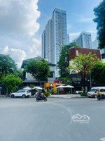 độc quyền! bán nhà phân lô phố dịch vọng, ô tô tránh, 7t thang máy, kd, vp, 50m2, 15.5 tỷ