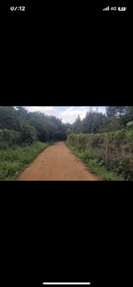 đất vườn sầu riêng 8449m2 , giá 1tỷ250tr / 1xào