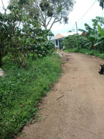 chính chủ cần bán sale giá ngộp cho khách thực sự có nhu cầu