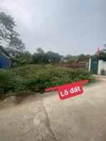 BÁN GẤP LÔ ĐẤT HƯỚNG ĐẠO SÁT KCN TAM DƯƠNG DT107,7m2 MT5m sẵn sổ sang tên 1,2 tỷ 0988296228