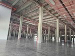 cho thuê kho 11.500m2 - 24.000m2, kcn thuận đạo, long an, pccc tự động, bình điện 1.000kva