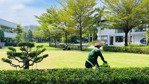 mới nhất giỏ hàng cho thuê camellia mizuki park 2026 lh hồng ngọc xem nhà thực tế 24/7