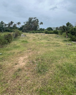 sót lô hàng hiếm vừa đẹp tại thôn xuân thọ, xã xuân sơn. giá chỉ 4,8tr/m2, dtich 106,3 m2 full thổ