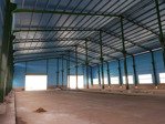cho thuê kho xưởng kv: 3000m2, xưởng : 2.000m2, gò đen, bến lức , long an , giá : 65k/m2/tháng